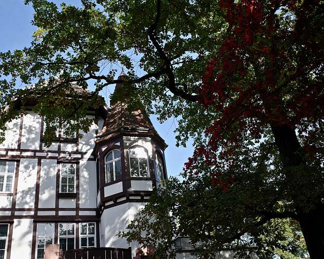 News Waldhaus Beider Basel news-waldhaus-beider-basel